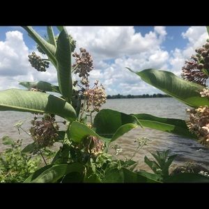 Meet your Posher, Moises